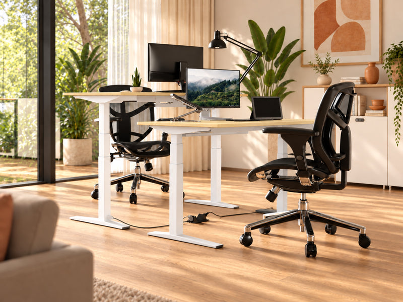 Nevades Executive Intégrale