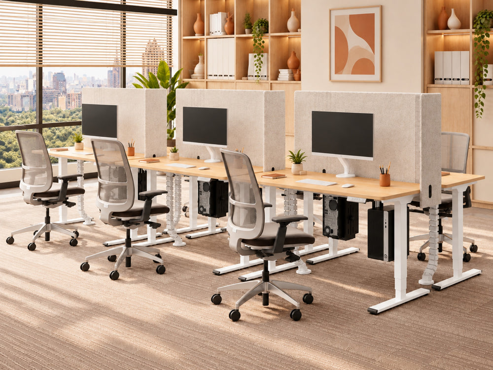 Nevades Pro Performance – espace collectif
